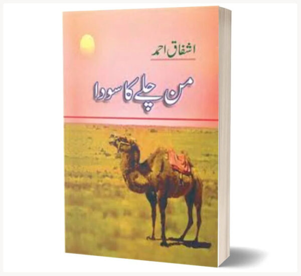Mann Chalay Ka Sauda by Ashfaq Ahmed