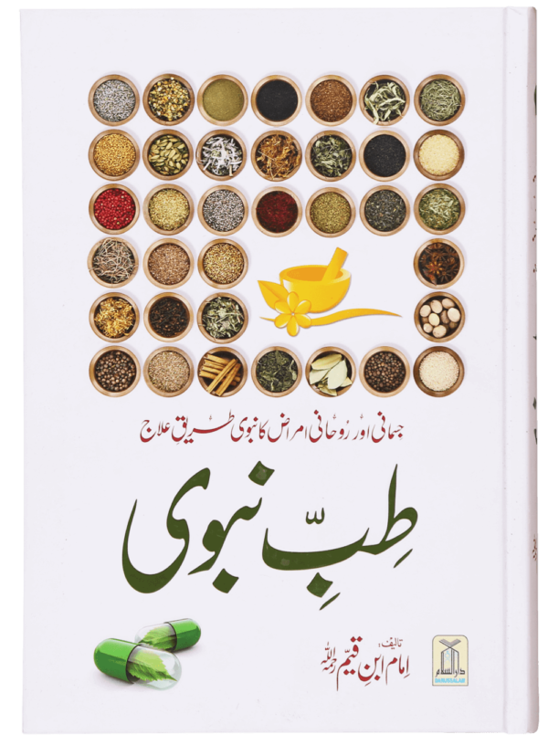Tabi Nabvi